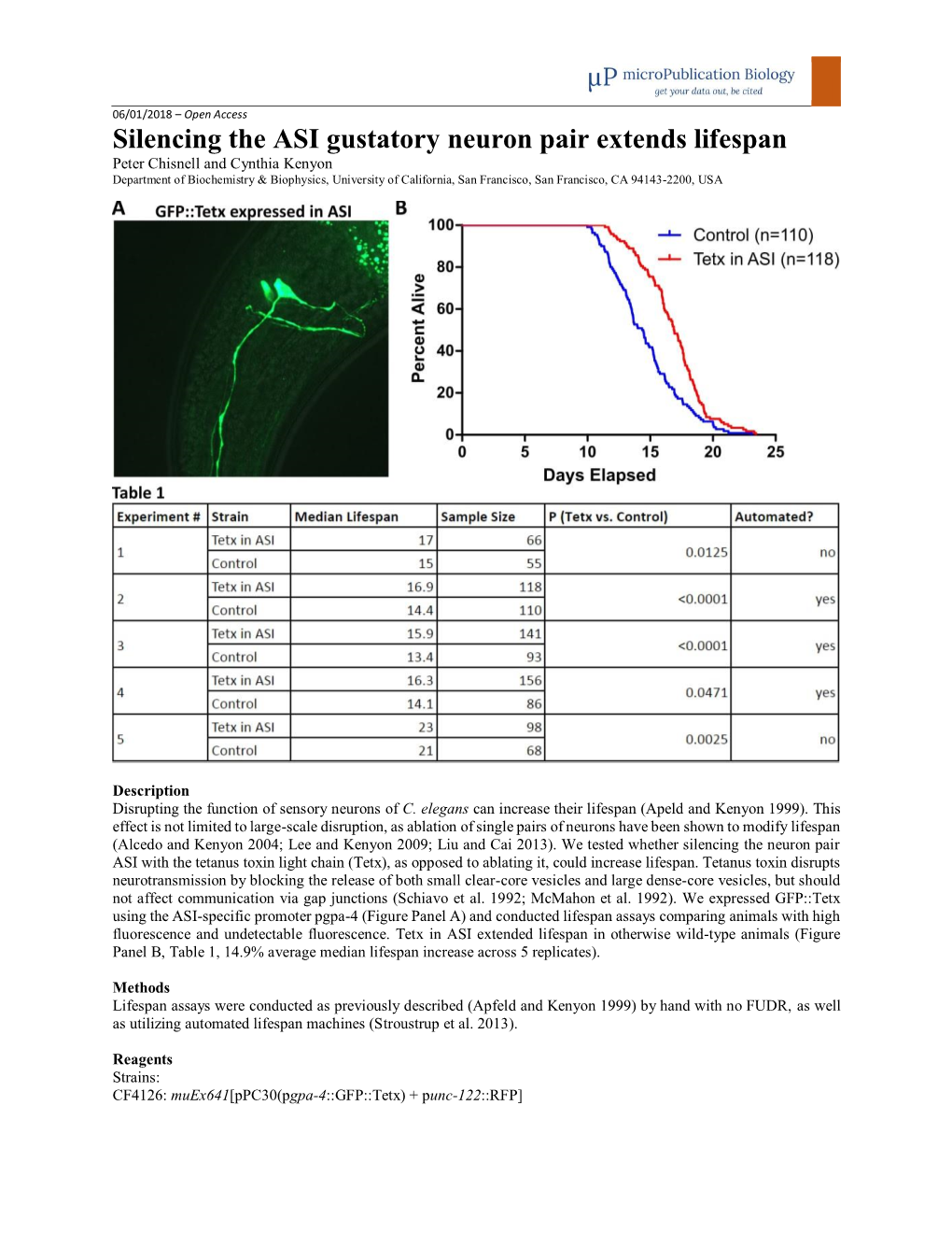 Silencing the ASI Gustatory Neuron Pair Extends Lifespan