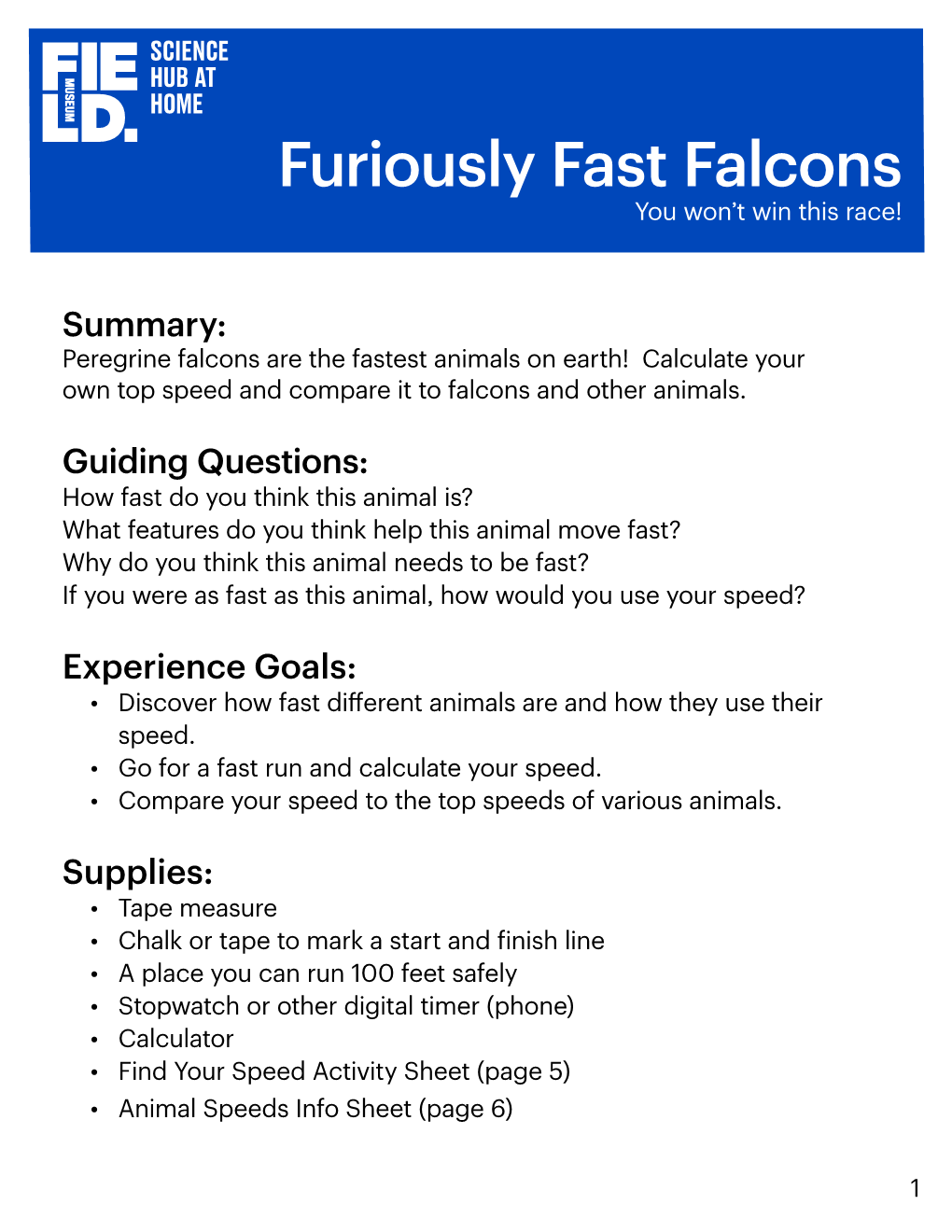 Furiously Fast Falcons You Won’T Win This Race!