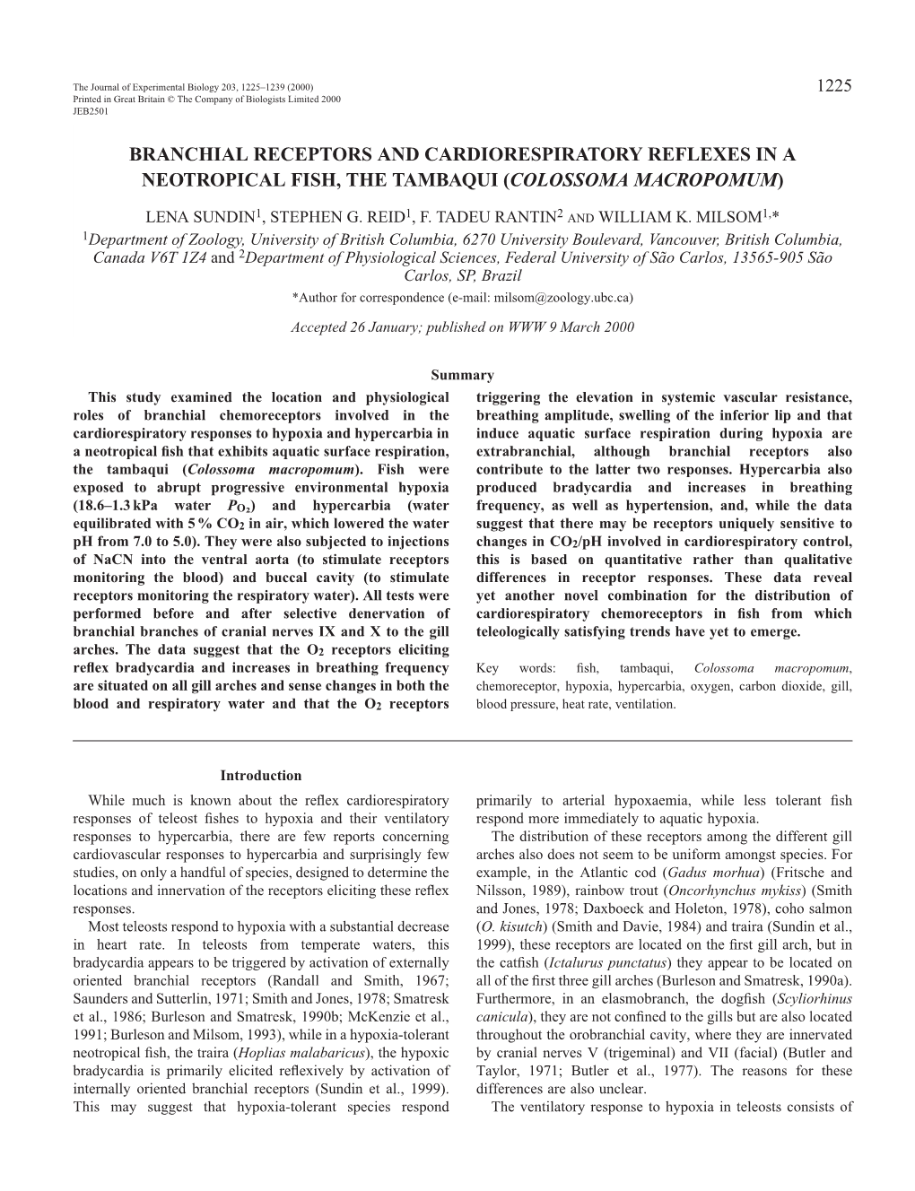 Branchial Chemoreceptors in Tambaqui