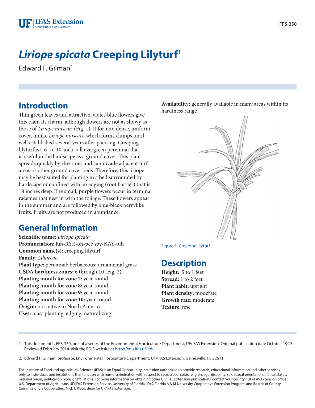 Liriope Spicata Creeping Lilyturf1 Edward F