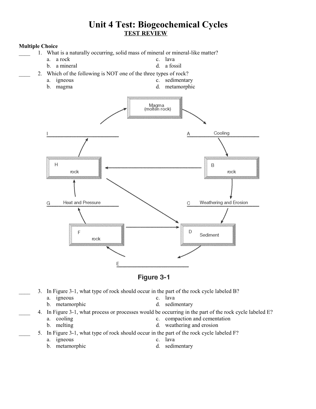 Unit 4 Test: Biogeochemical Cycles