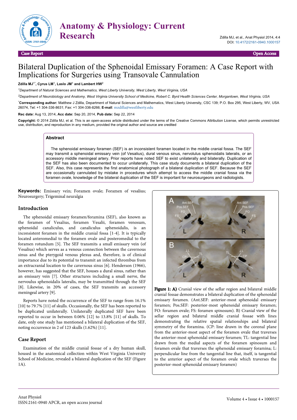 Bilateral Duplication of the Sphenoidal Emissary Foramen: a Case Report with Implications for Surgeries Using Transovale Cannula