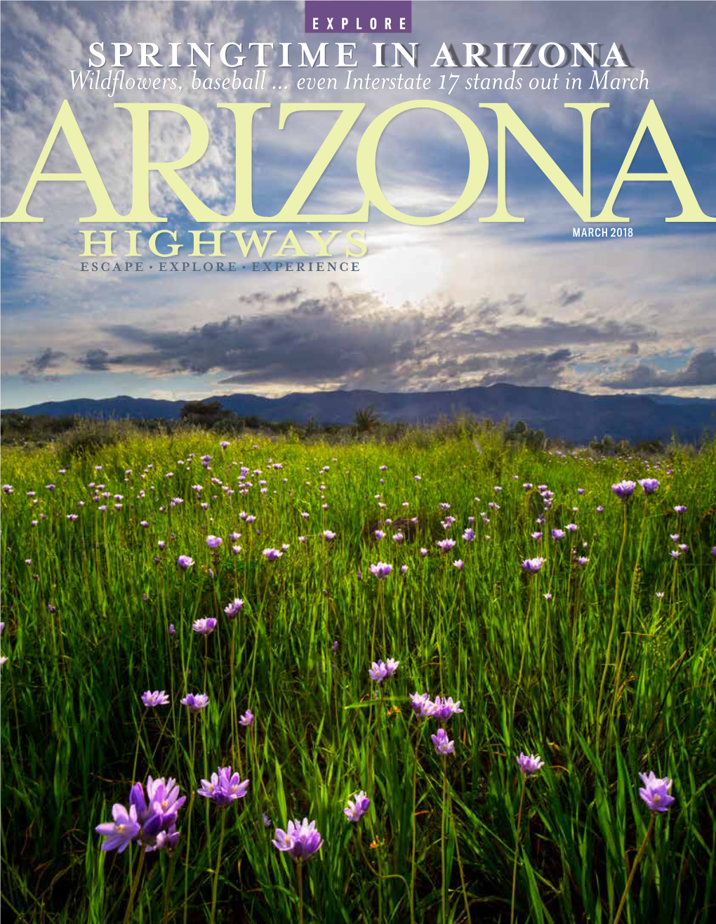 SPRINGTIME in ARIZONA Wildflowers, Baseball