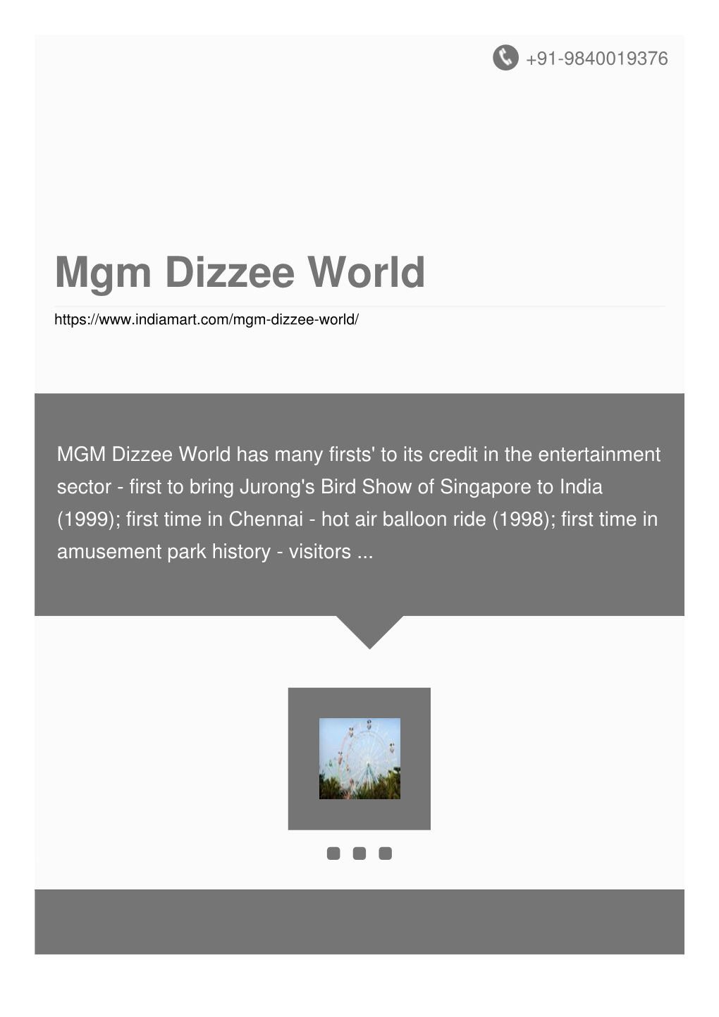 Mgm Dizzee World