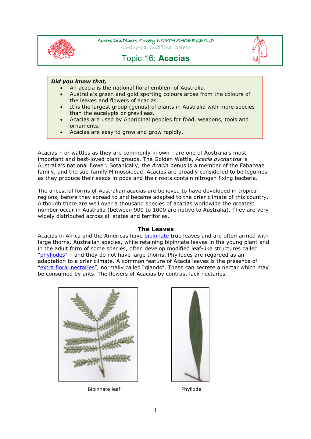 Topic 16: Acacias