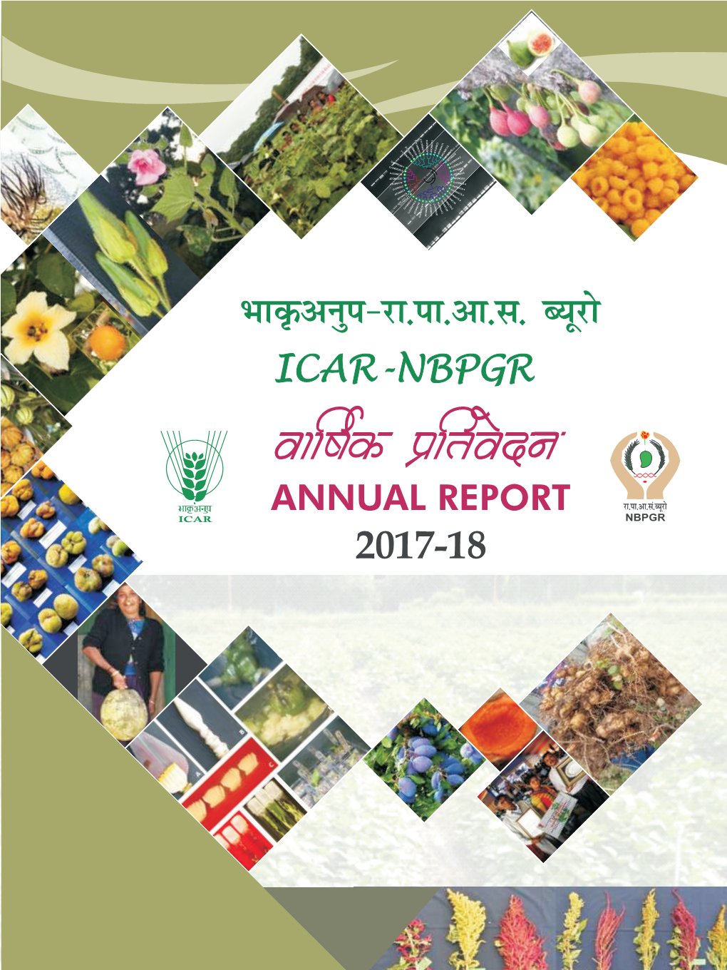 Annual Report 2017-18