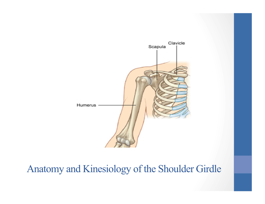 Lesson Plan: 40A Anatomy and Kinesiology of the Shoulder Girdle