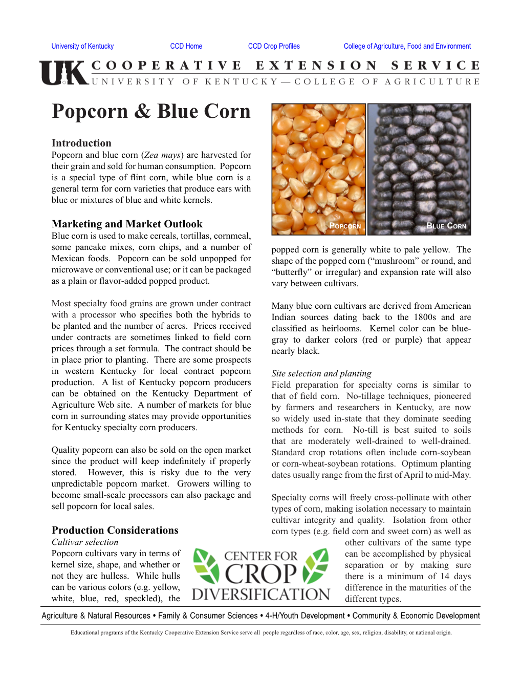 Popcorn & Blue Corn