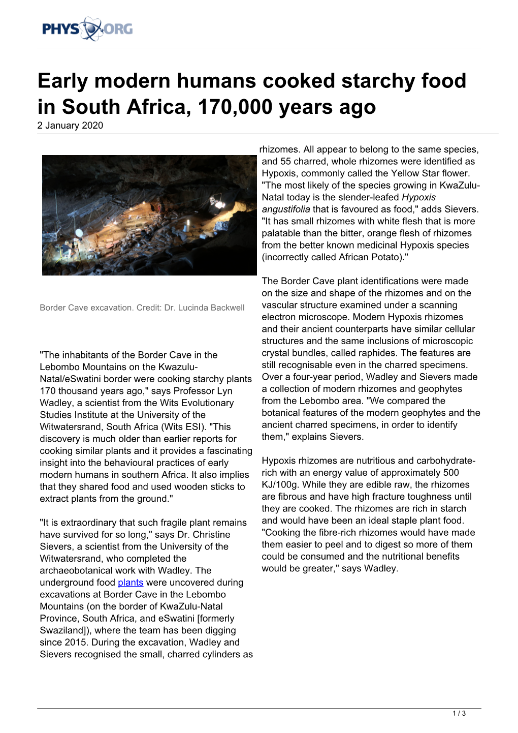 Early Modern Humans Cooked Starchy Food in South Africa, 170,000 Years Ago 2 January 2020