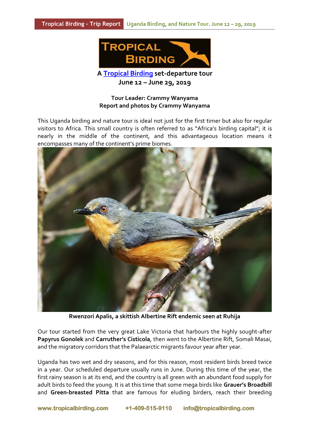 A Tropical Birding Set-Departure Tour June 12 – June 29, 2019