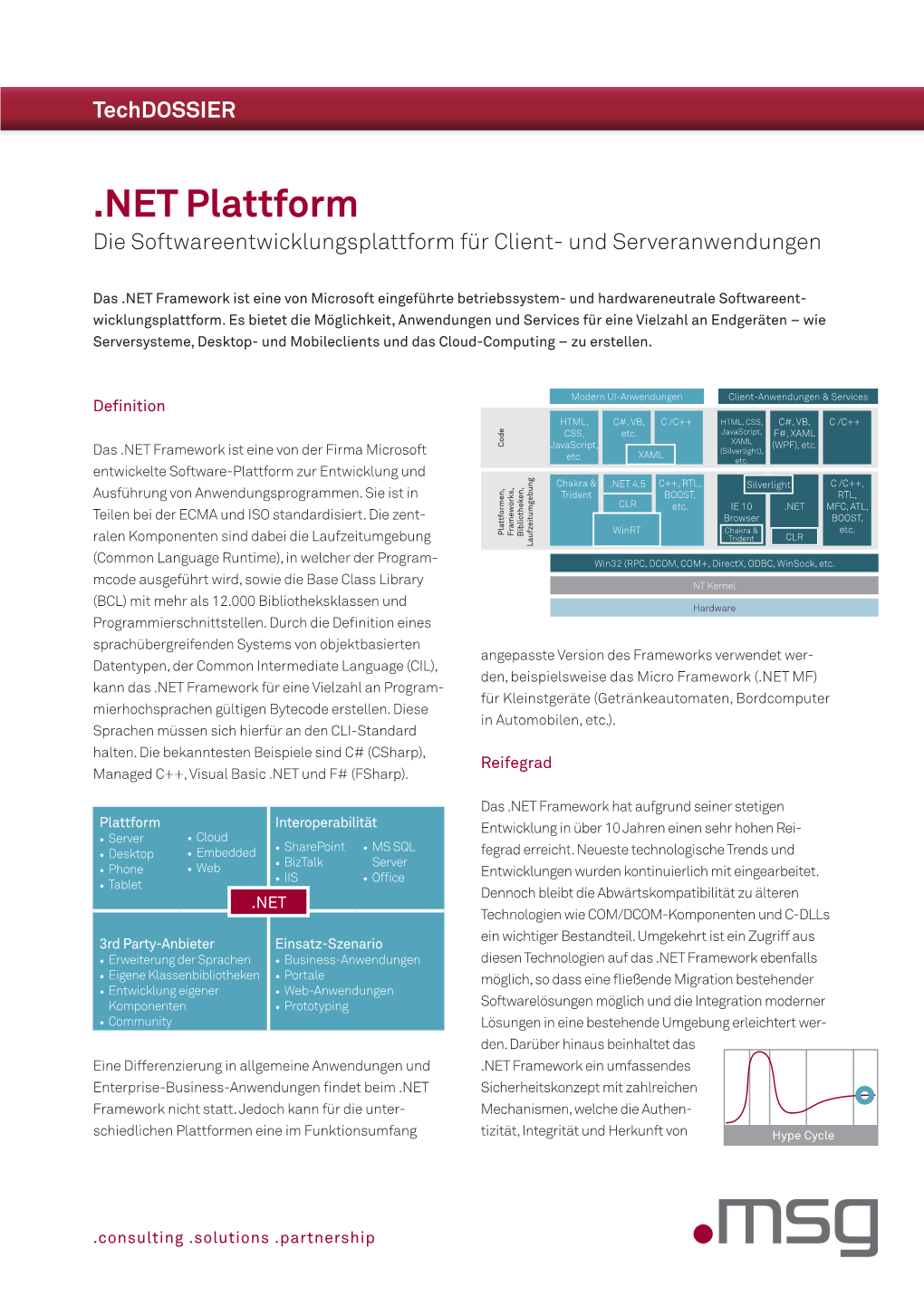 NET Plattform Die Softwareentwicklungsplattform Für Client- Und Serveranwendungen