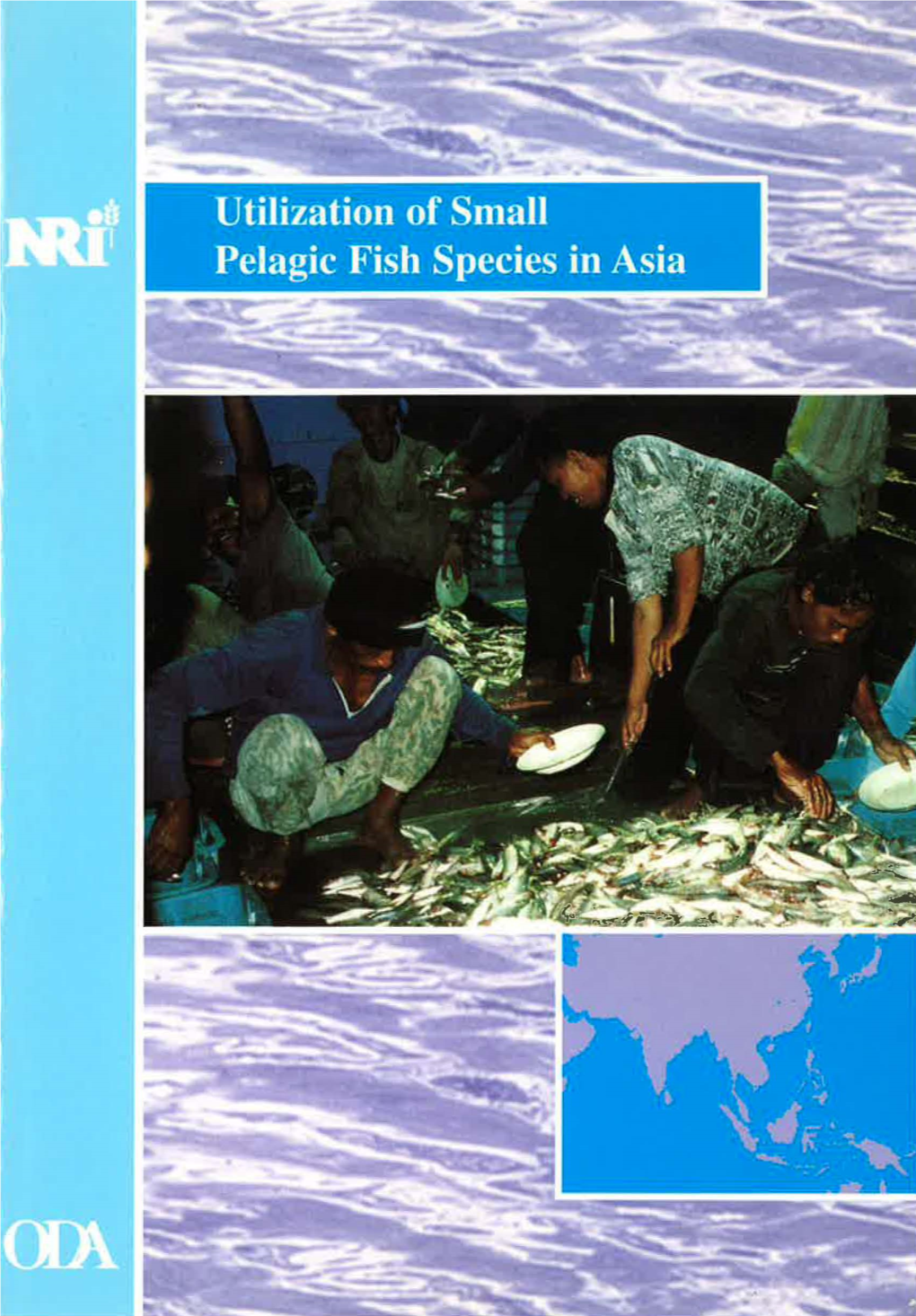 Utilization of Small Pelagic Fish Species in Asia Utilization ·Or Small Pelagic Fish Species in Asia