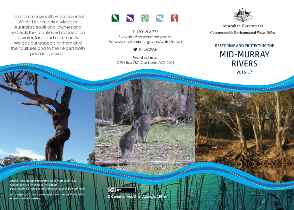 Restoring and Protecting the Mid Murray Rivers 2016-17