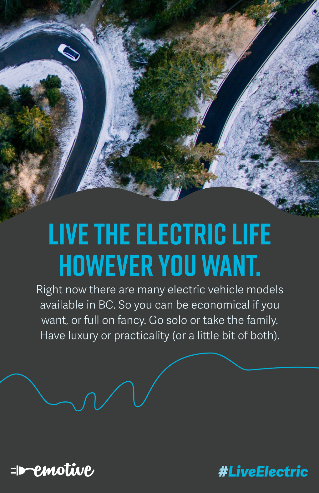 Live the Electric Life However You Want. Right Now There Are Many Electric Vehicle Models Available in BC