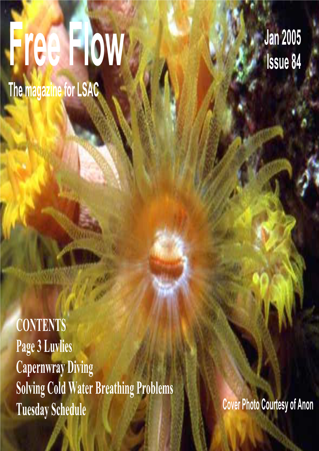 Jan 2005 Issue 84