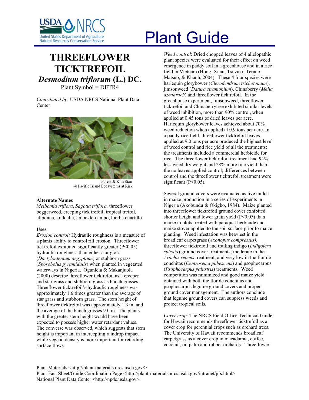 Threeflower Ticktrefoil