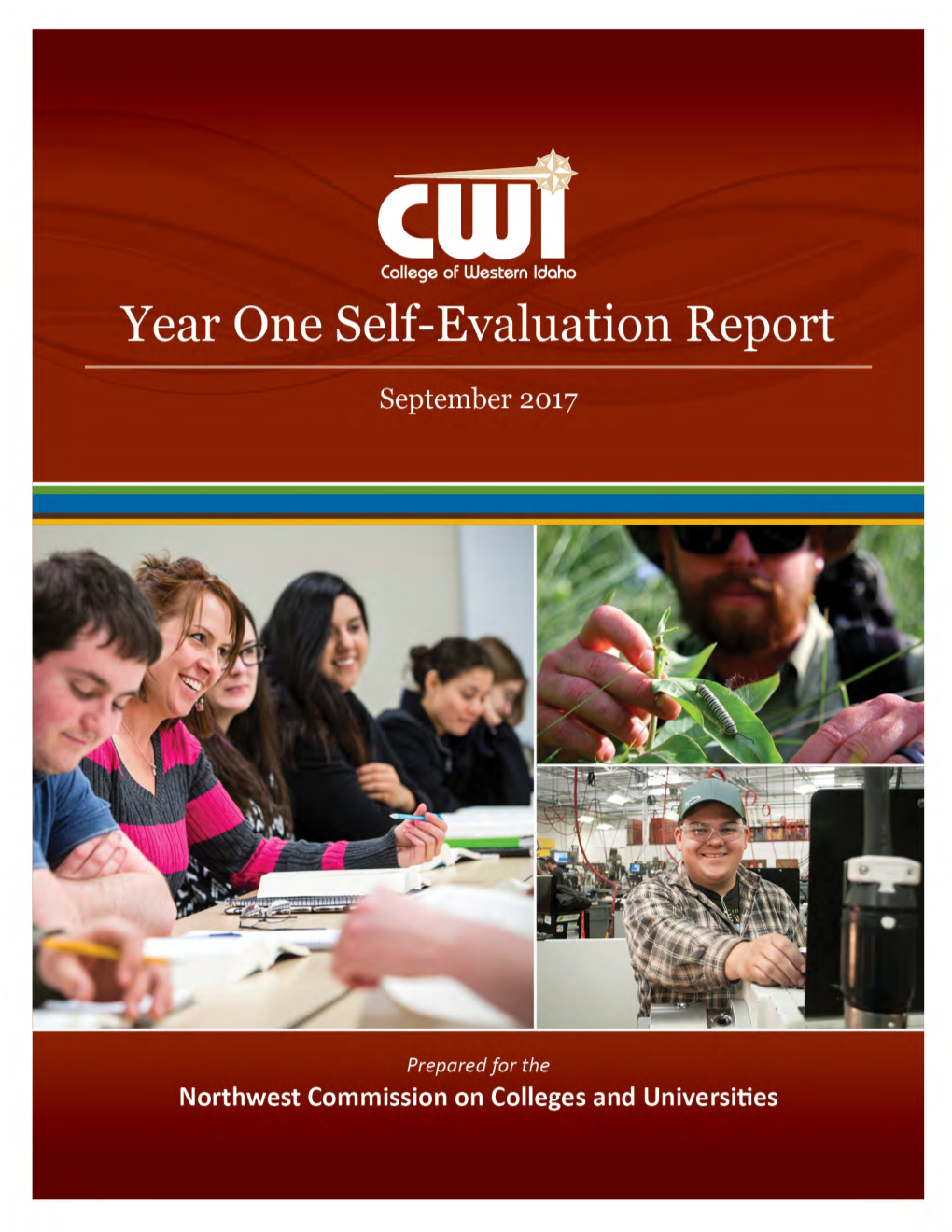 CWI Year One Report September 2017