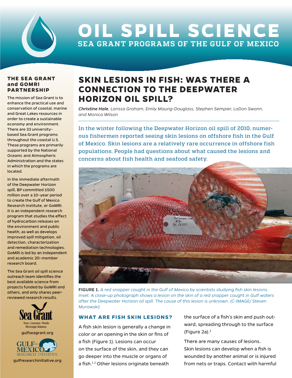 Skin Lesions in Fish: Was There a Connection to The