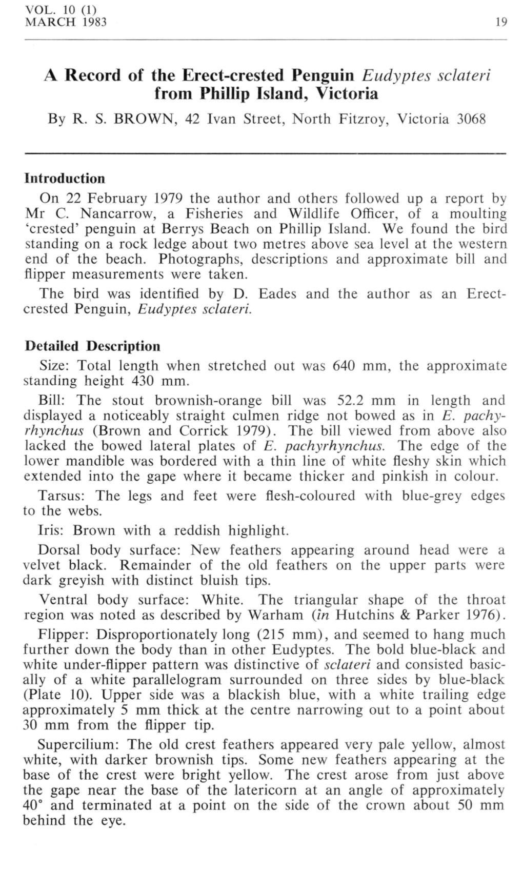 A Record of the Erect-Crested Penguin Eudyptes Sclateri from Phillip Island, Victoria by R