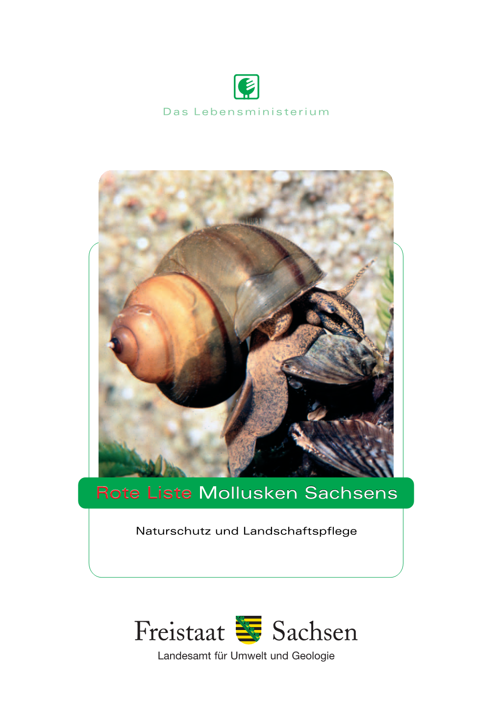 Rote Listen Mollusken Sachsens