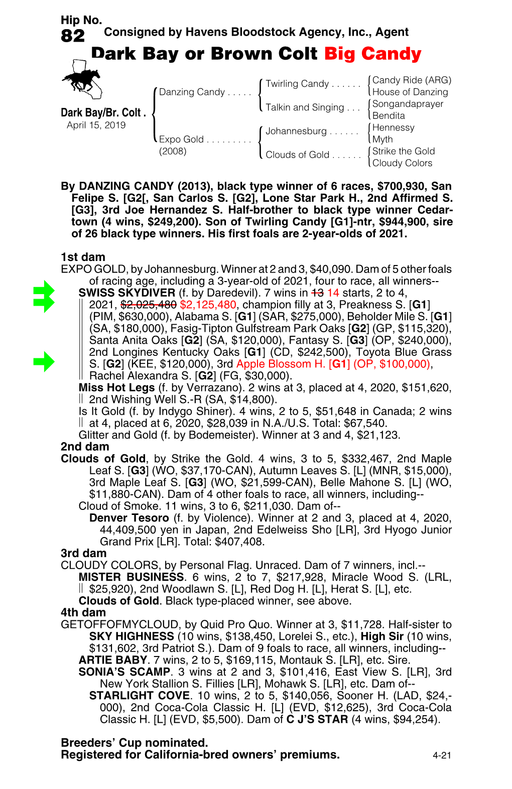 82 Consigned by Havens Bloodstock Agency, Inc., Agent Dark Bay Or Brown Colt Big Candy
