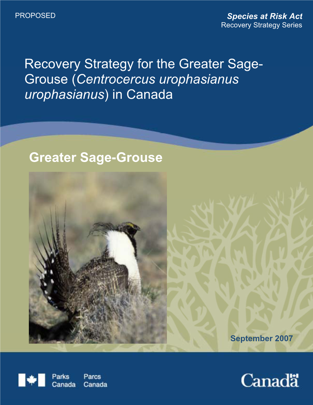Recovery Strategy for the Greater Sage-Grouse (Centrocercus Urophasianus Urophasianus) in Canada [PROPOSED]