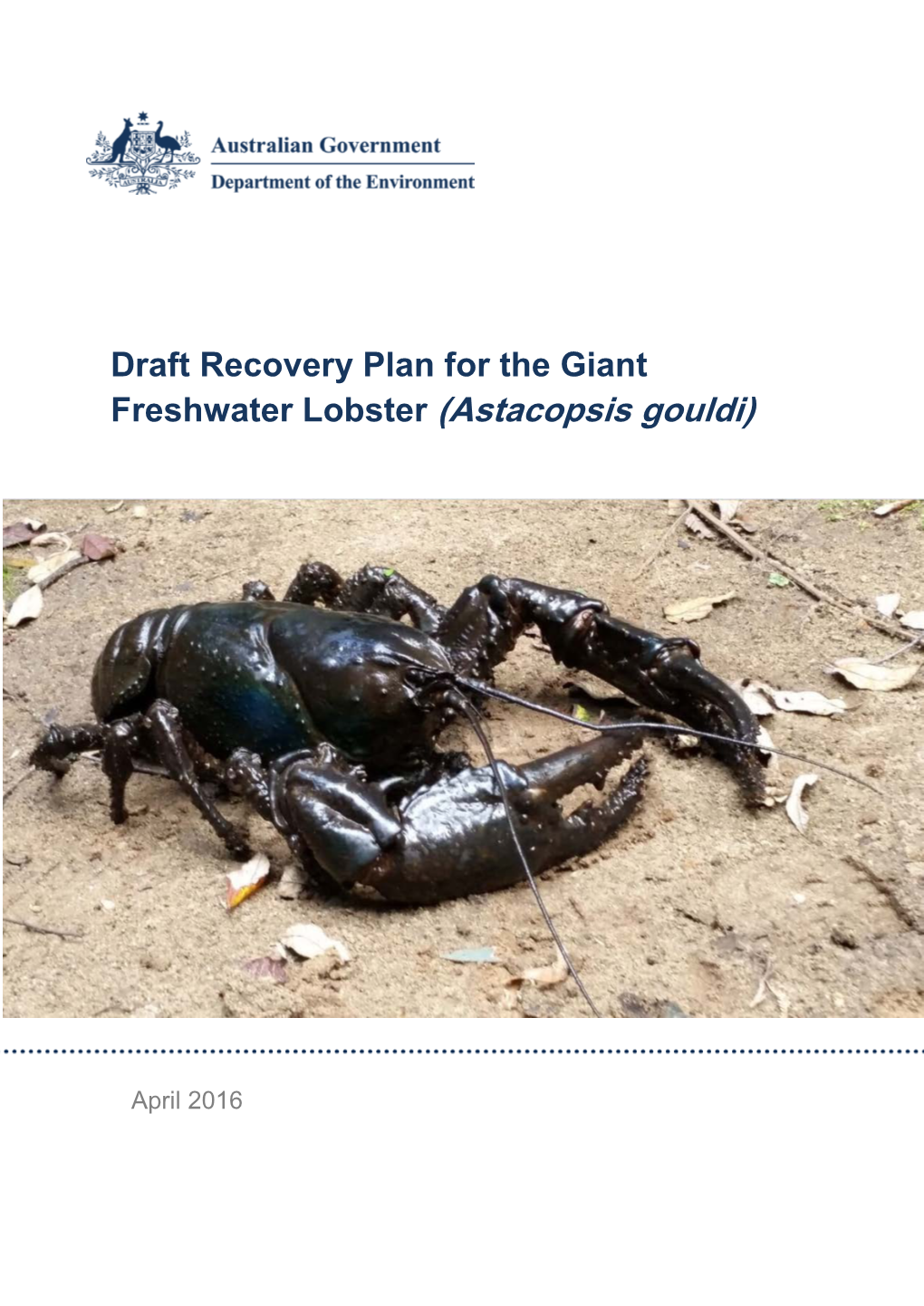 Draft Recovery Plan for the Giant Freshwater Lobster (Astacopsis Gouldi)