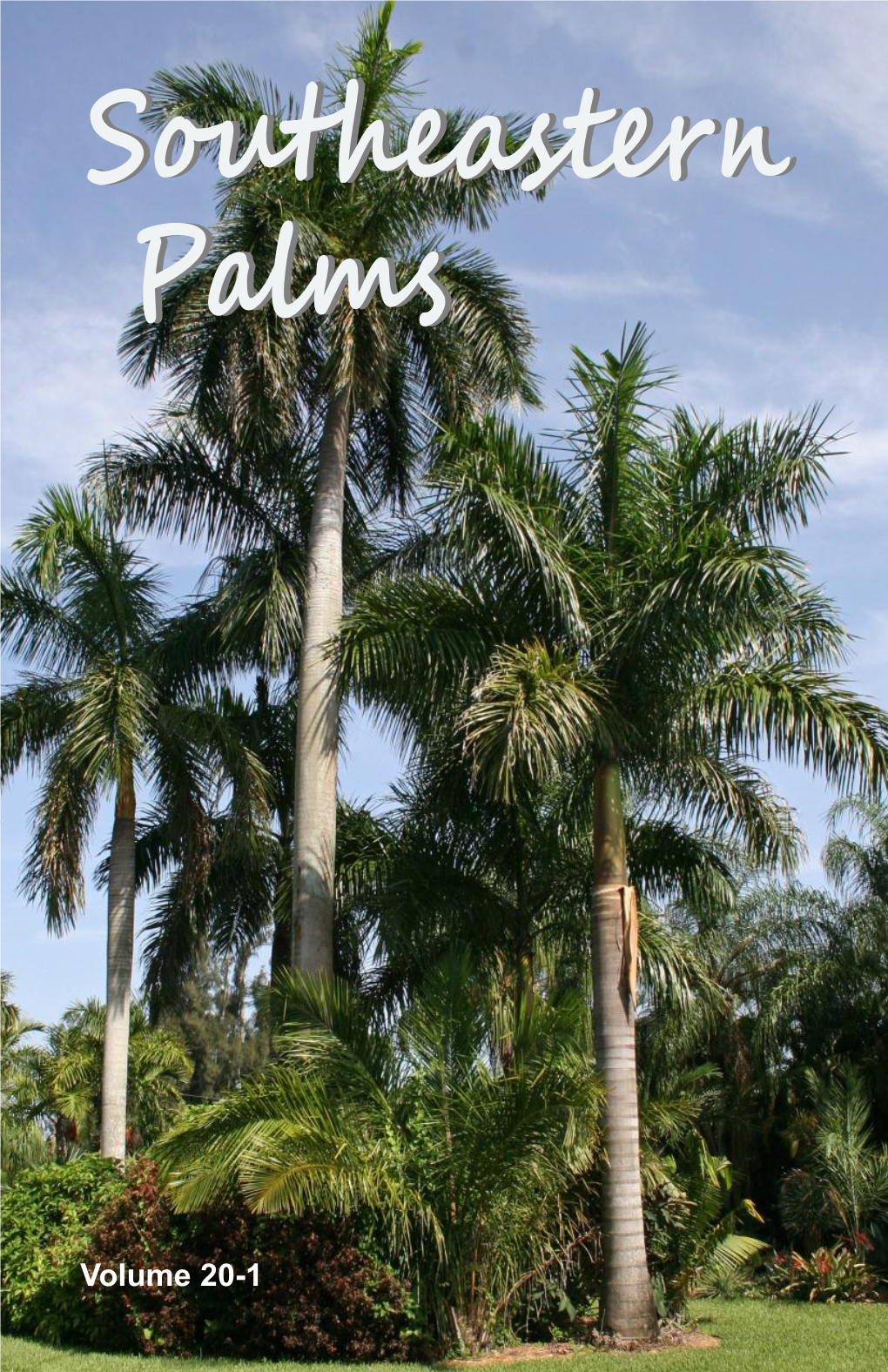 Southeastern Palmspalms