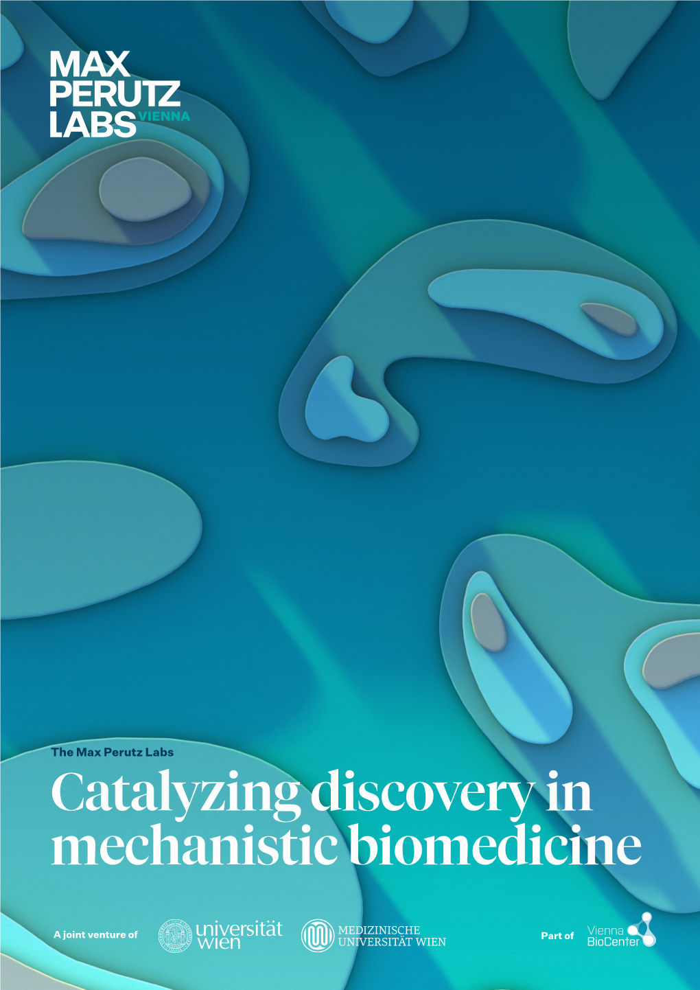 Catalyzing Discovery in Mechanistic Biomedicine