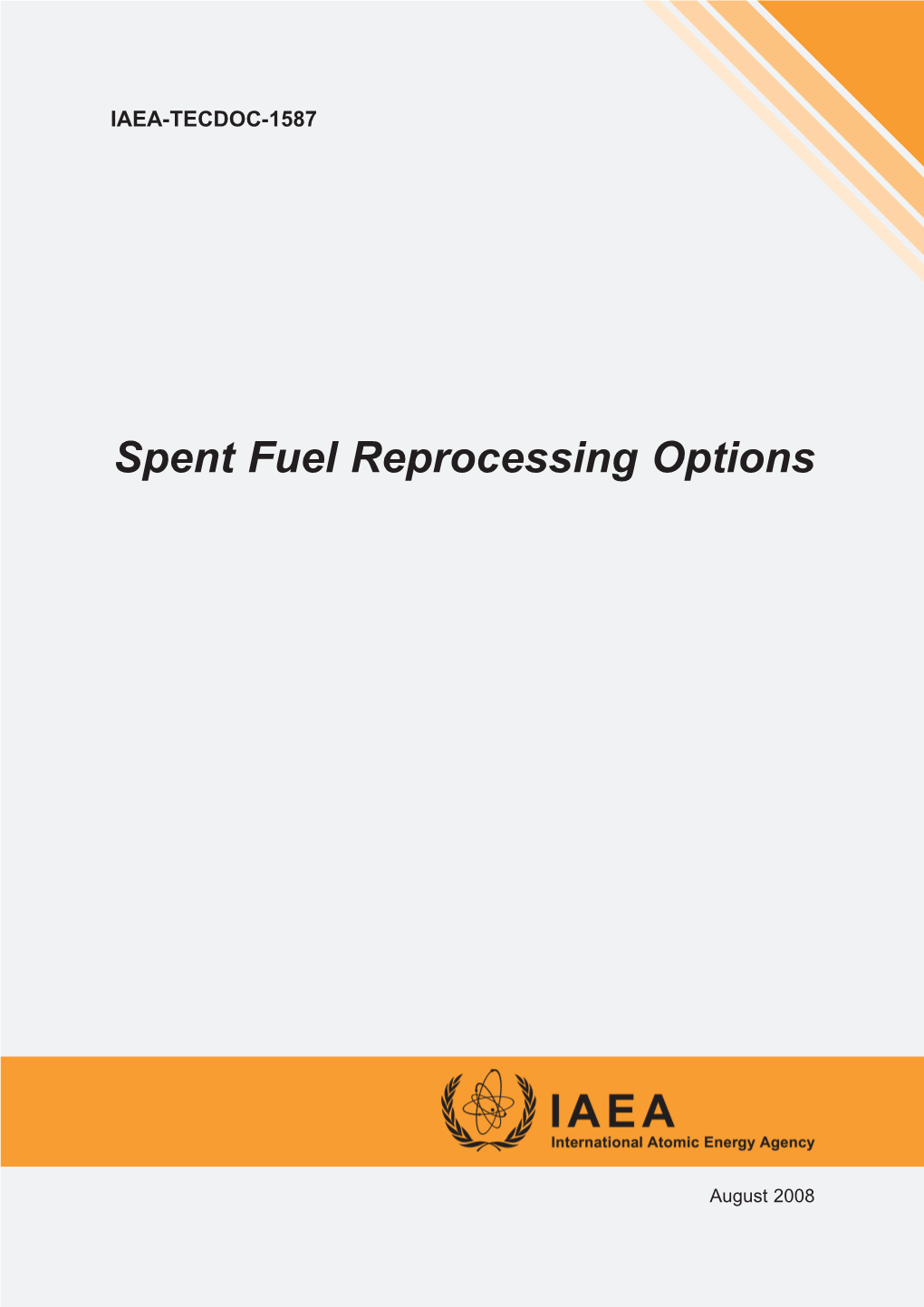 Spent Fuel Reprocessing Options