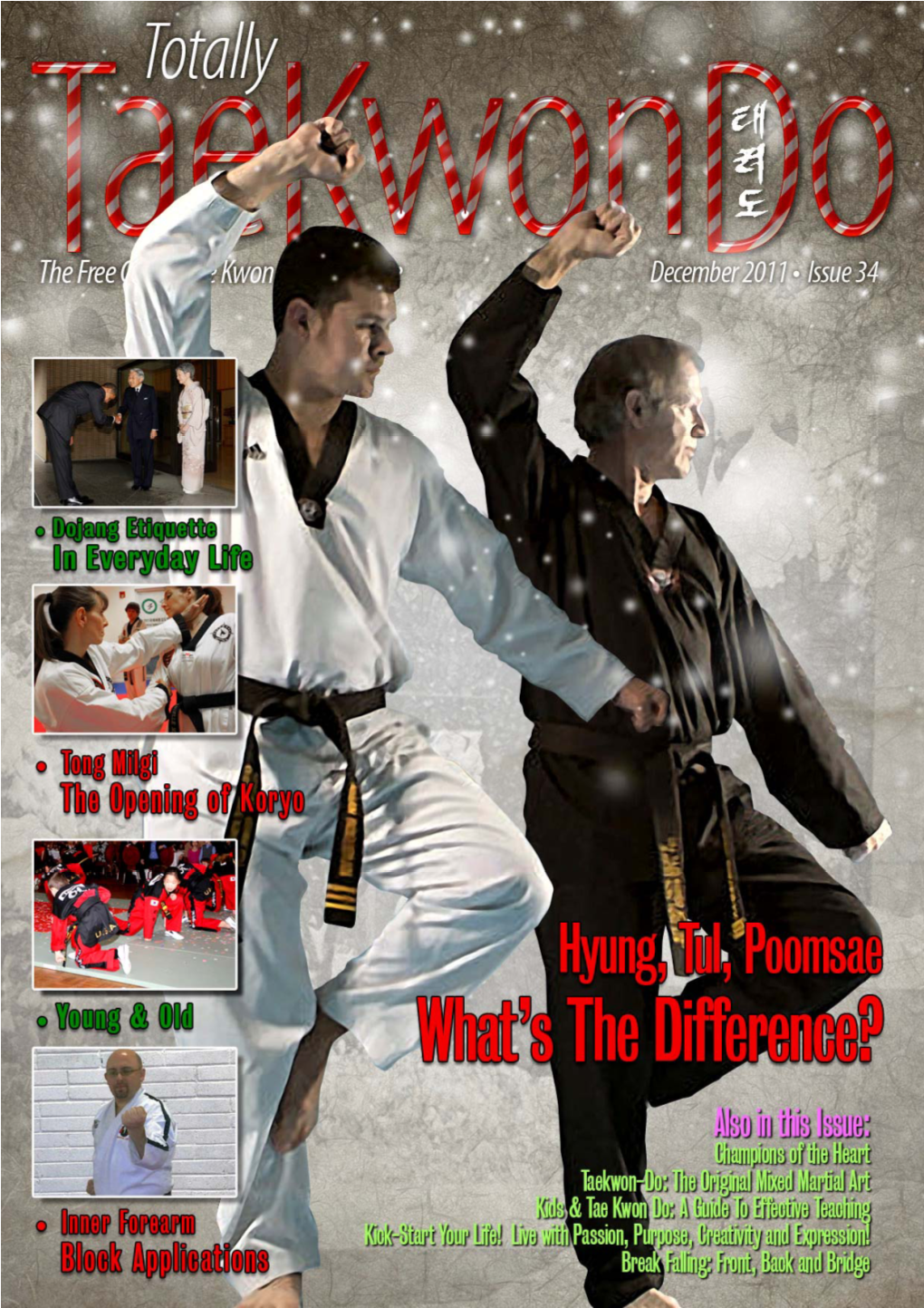 Totally Tae Kwon Do Magazine