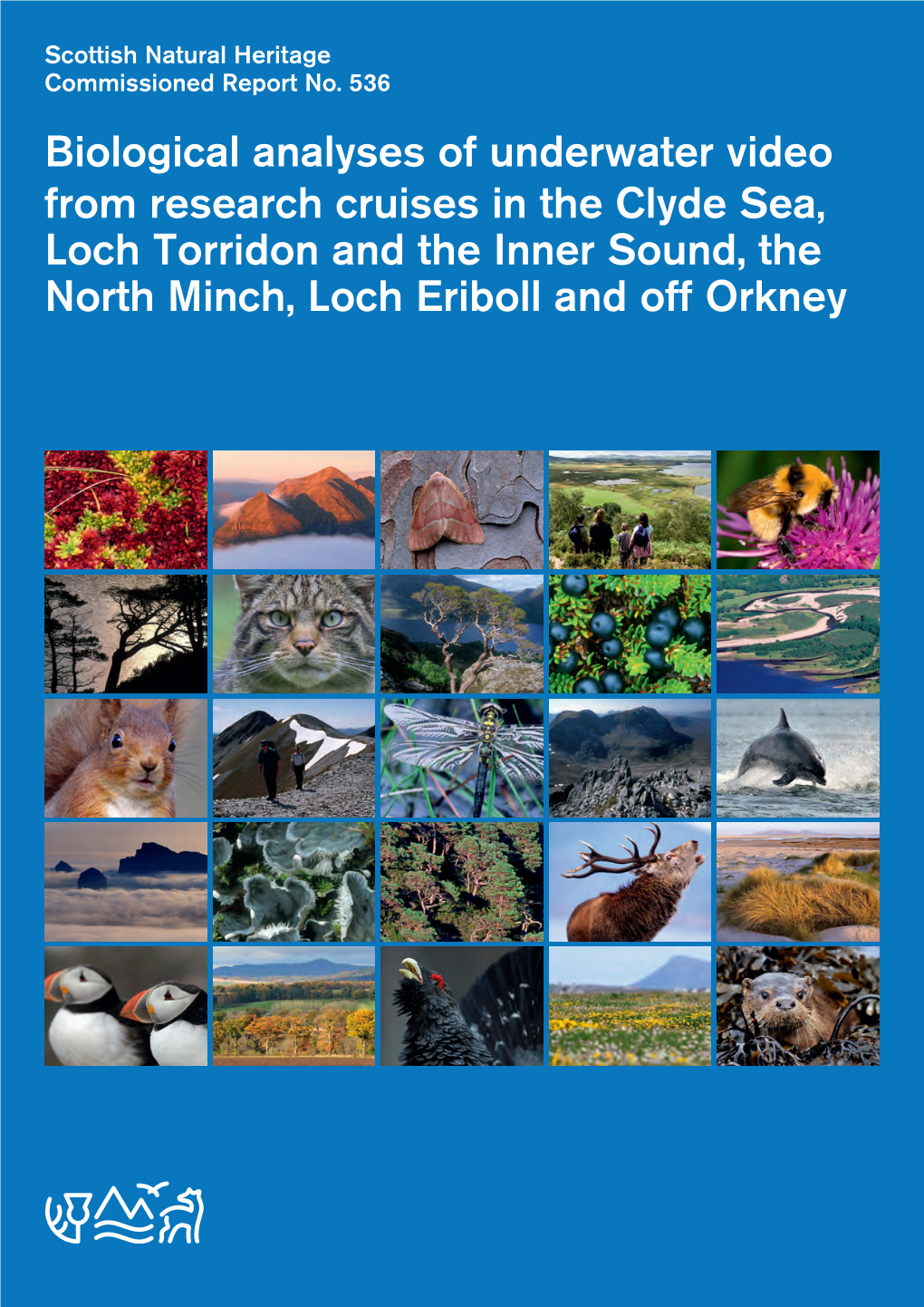 Biological Analyses of Underwater Video from Research Cruises in the Clyde Sea, Loch Torridon and the Inner Sound, the North Minch, Loch Eriboll and Off Orkney