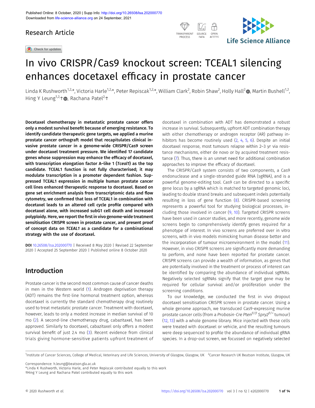 In Vivo CRISPR/Cas9 Knockout Screen: TCEAL1 Silencing Enhances Docetaxel Efﬁcacy in Prostate Cancer