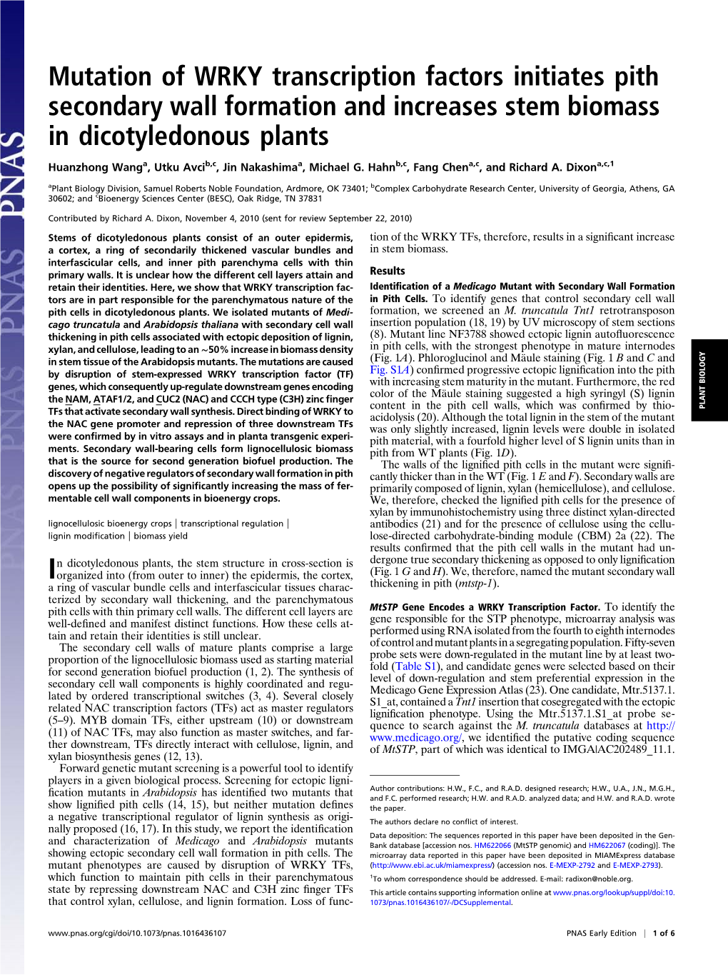 Mutation of WRKY Transcription Factors Initiates Pith Secondary Wall Formation and Increases Stem Biomass in Dicotyledonous Plants