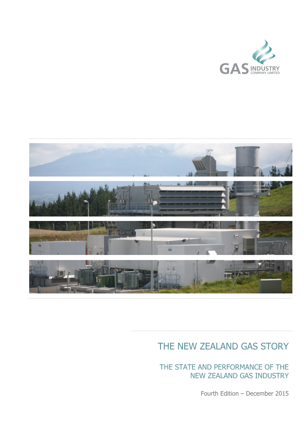 The New Zealand Gas Story