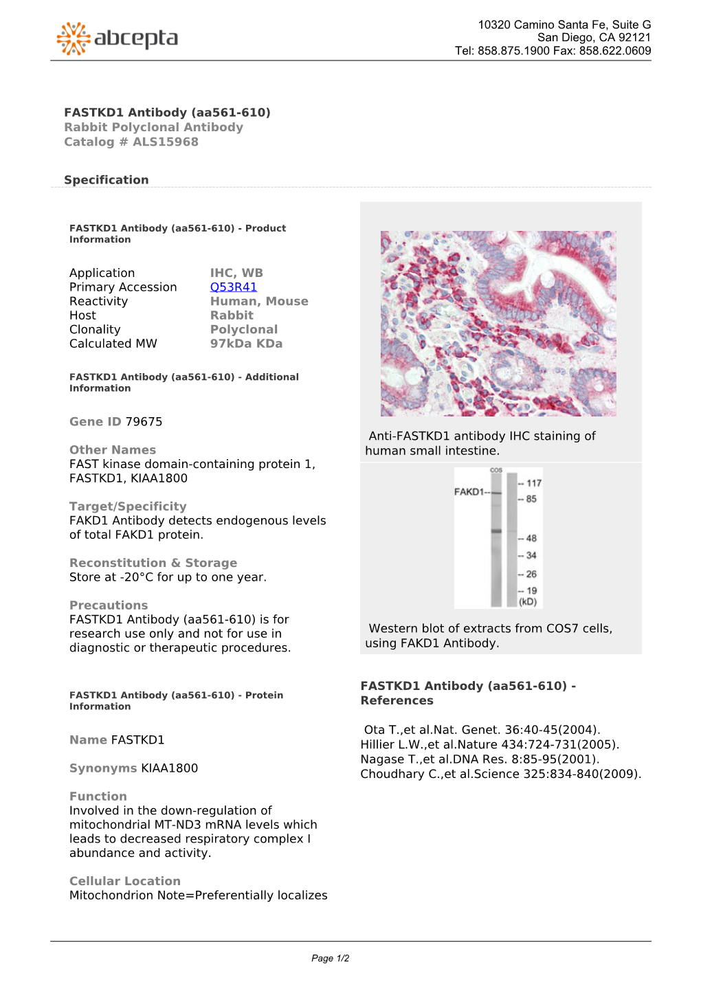 FASTKD1 Antibody (Aa561-610) Rabbit Polyclonal Antibody Catalog # ALS15968