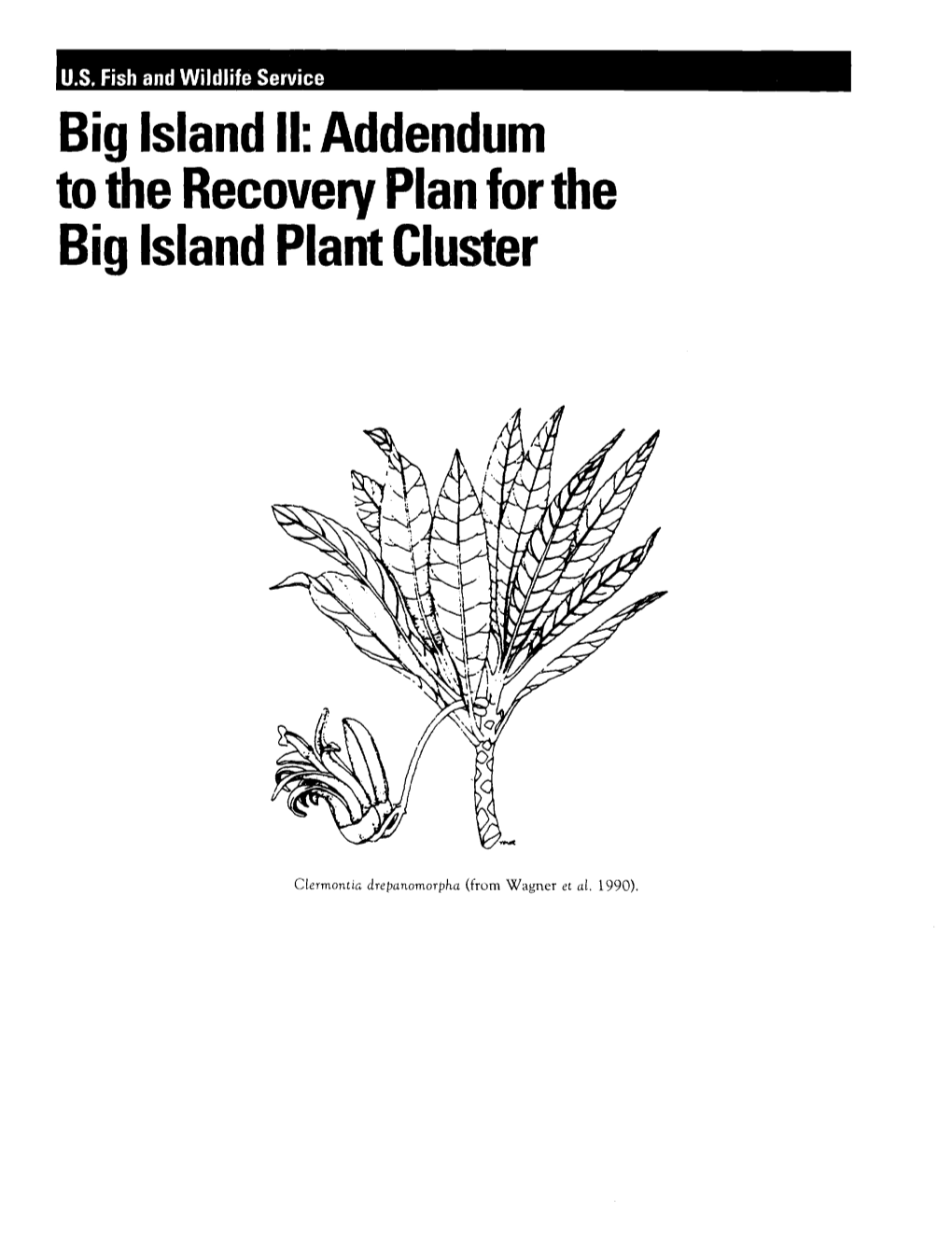 Big Island II: Addendum to the Recovery Plan for the Big Island Plant Cluster