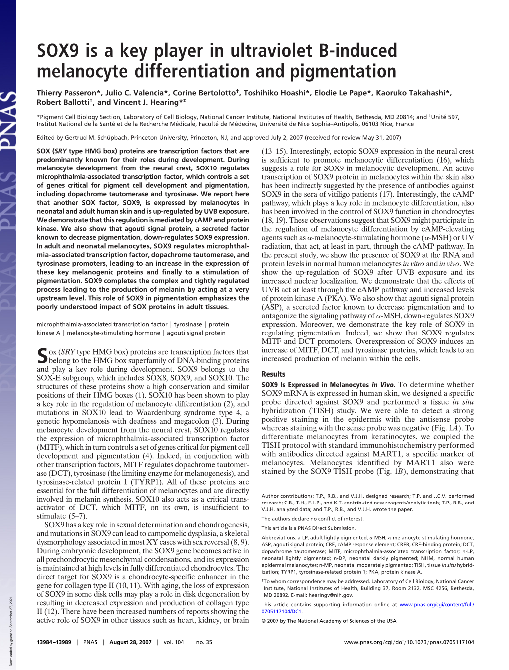 SOX9 Is a Key Player in Ultraviolet B-Induced Melanocyte Differentiation and Pigmentation