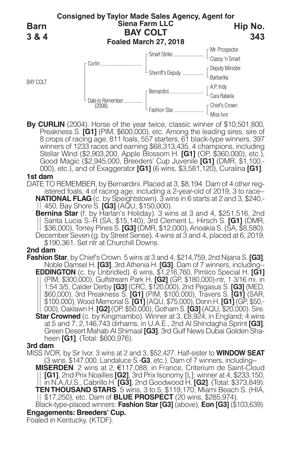 BAY COLT Barn 3 & 4 Hip No