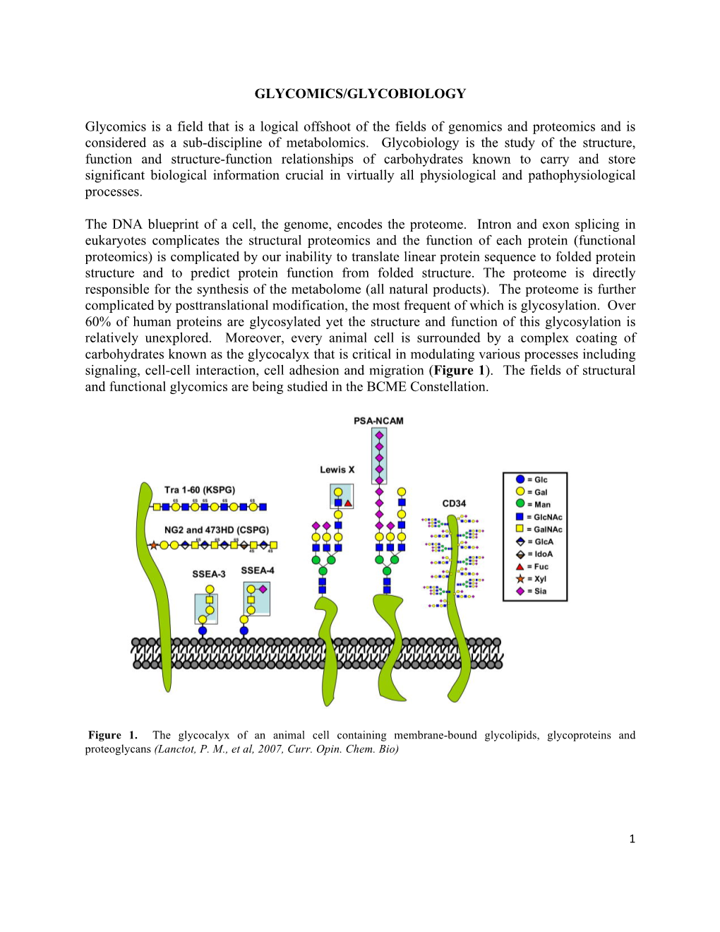 GLYCOMICS/GLYCOBIOLOGY Glycomics Is a Field That Is a Logical