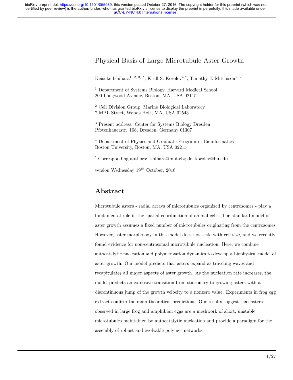 Physical Basis of Large Microtubule Aster Growth