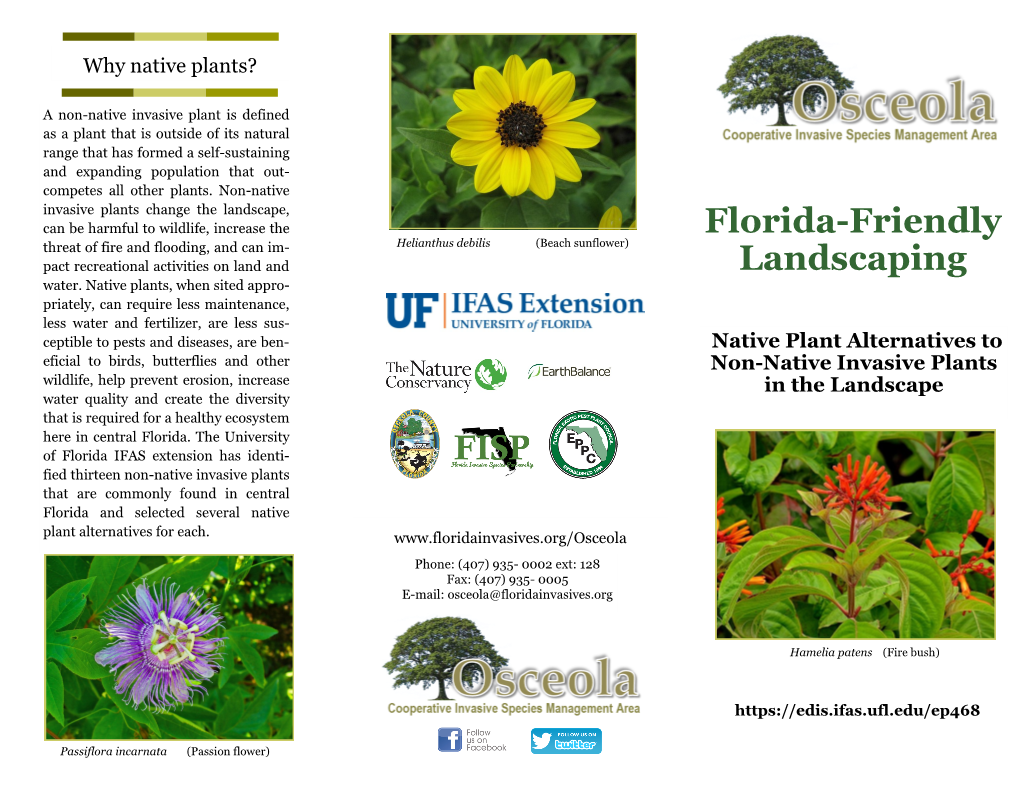 Florida-Friendly Landscaping