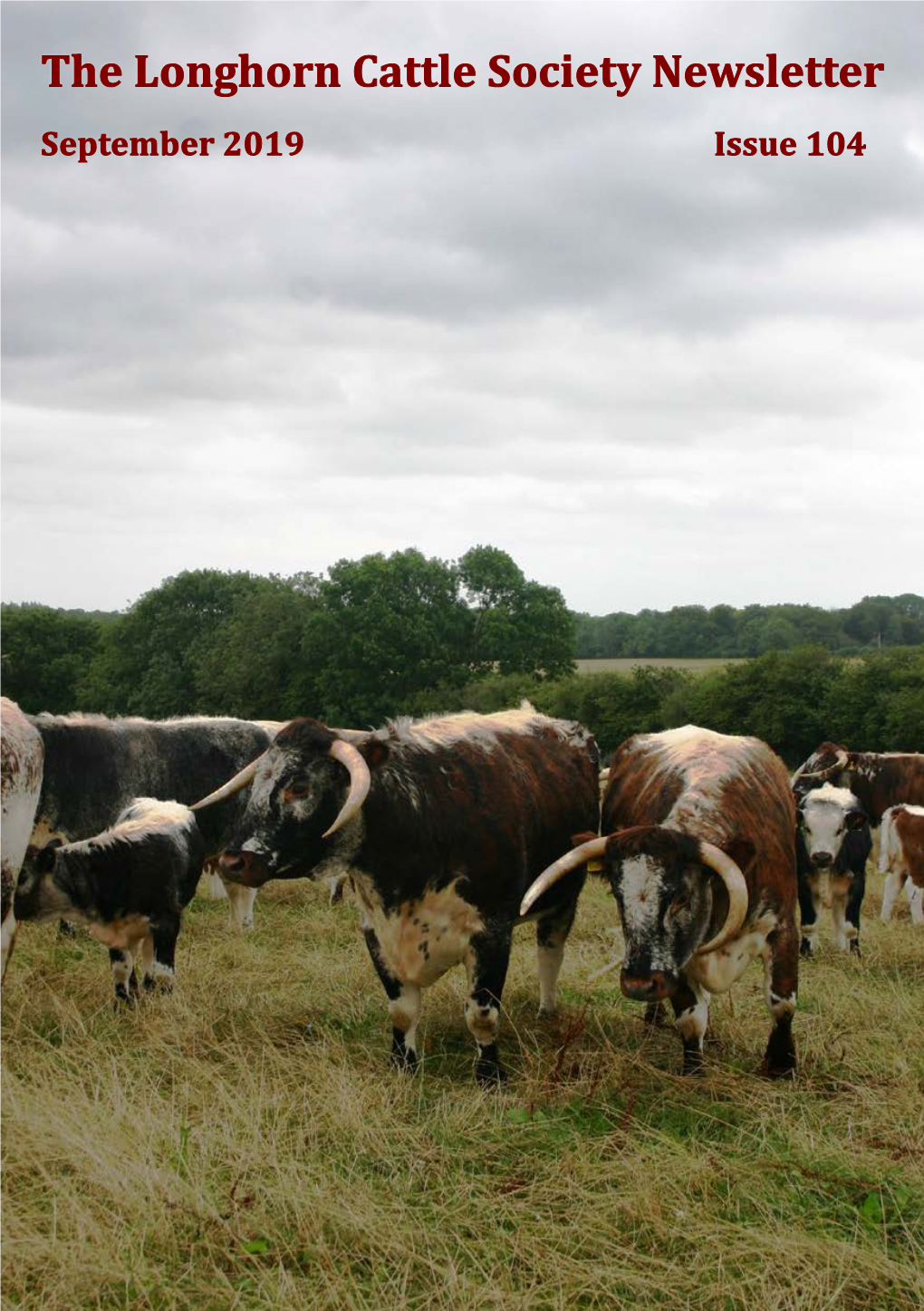 The Longhorn Cattle Society Newsletter September 2019 Issue 104 BLACKBROOK LONGHORNS Breeding Blackbrook Longhorns on Our Farm Since 1989