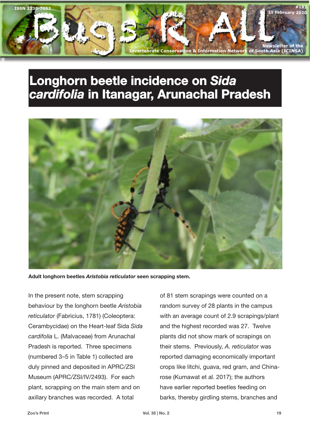 Longhorn Beetle Incidence on Sida Cardifolia in Itanagar, Arunachal Pradesh