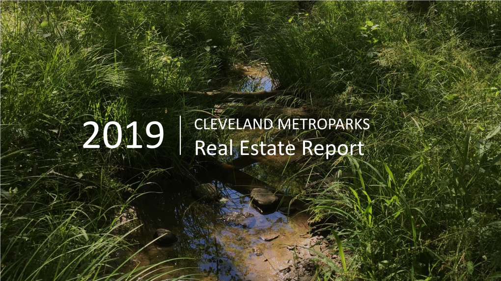 Real Estate Report