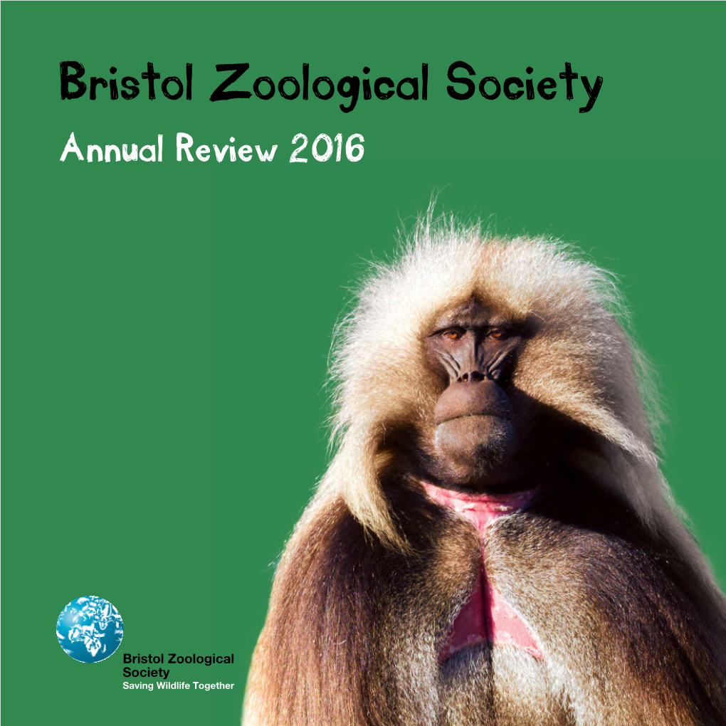 Bristol Zoological Society Annual Review 2016 Contents Chief Executive Winter 4 Officer’S Welcome Wild Place Project 6