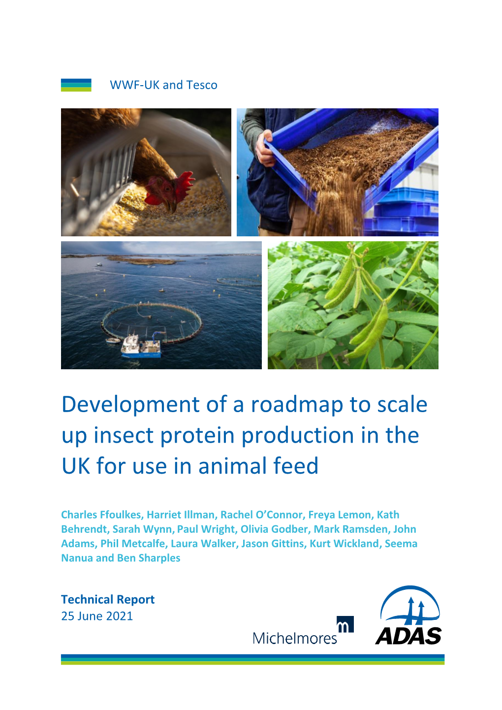 Development of a Roadmap to Scale up Insect Protein Production in the UK for Use in Animal Feed