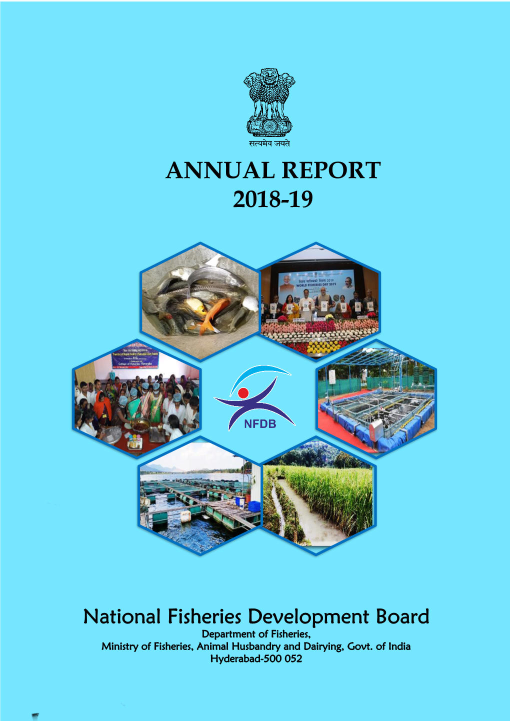 Nfdb Annual Report-2018-19