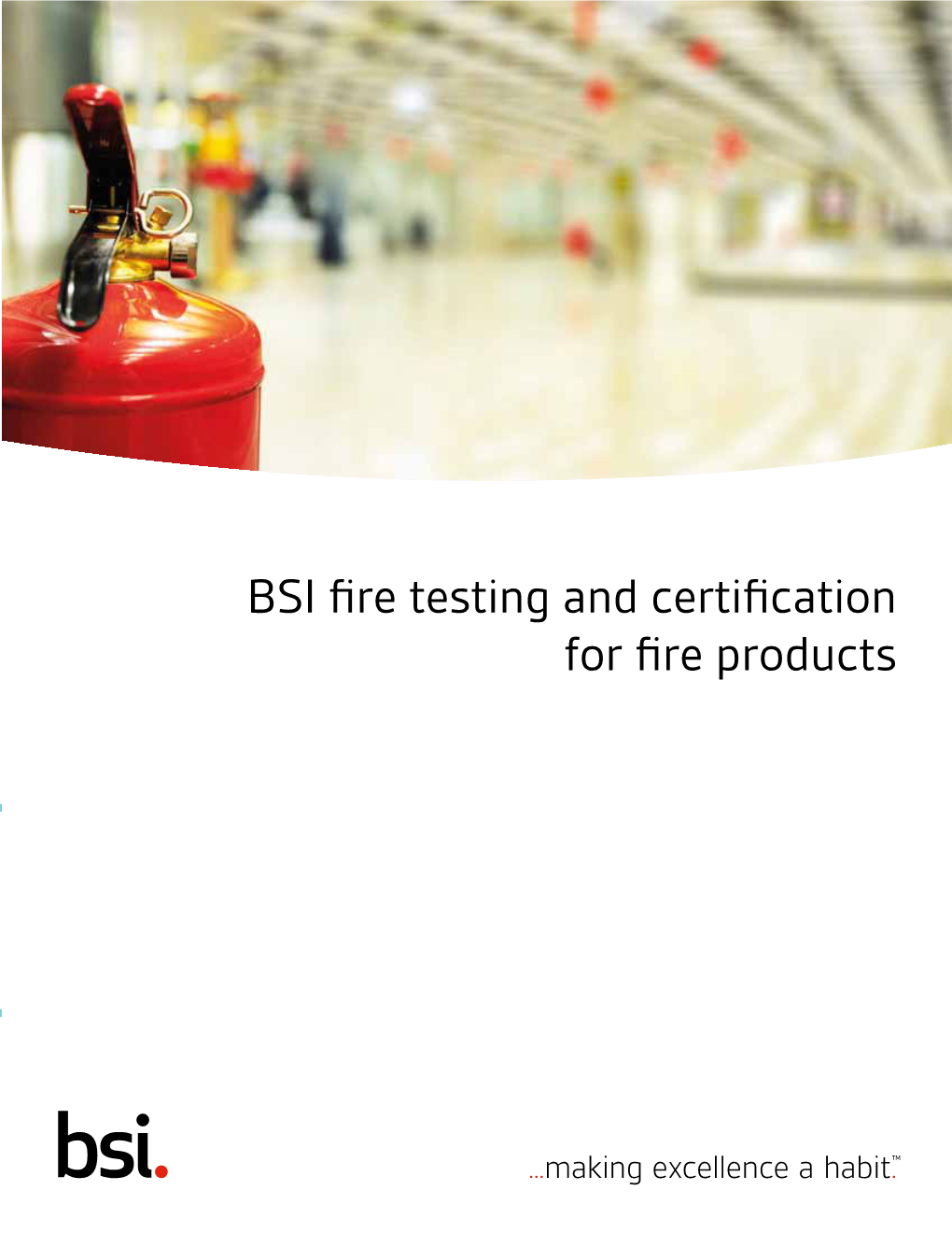 BSI Fire Testing and Certification for Fire Products © BSI Group BSI/USA/536/MS/0516/E Fire Standards – Testing and Certification Service