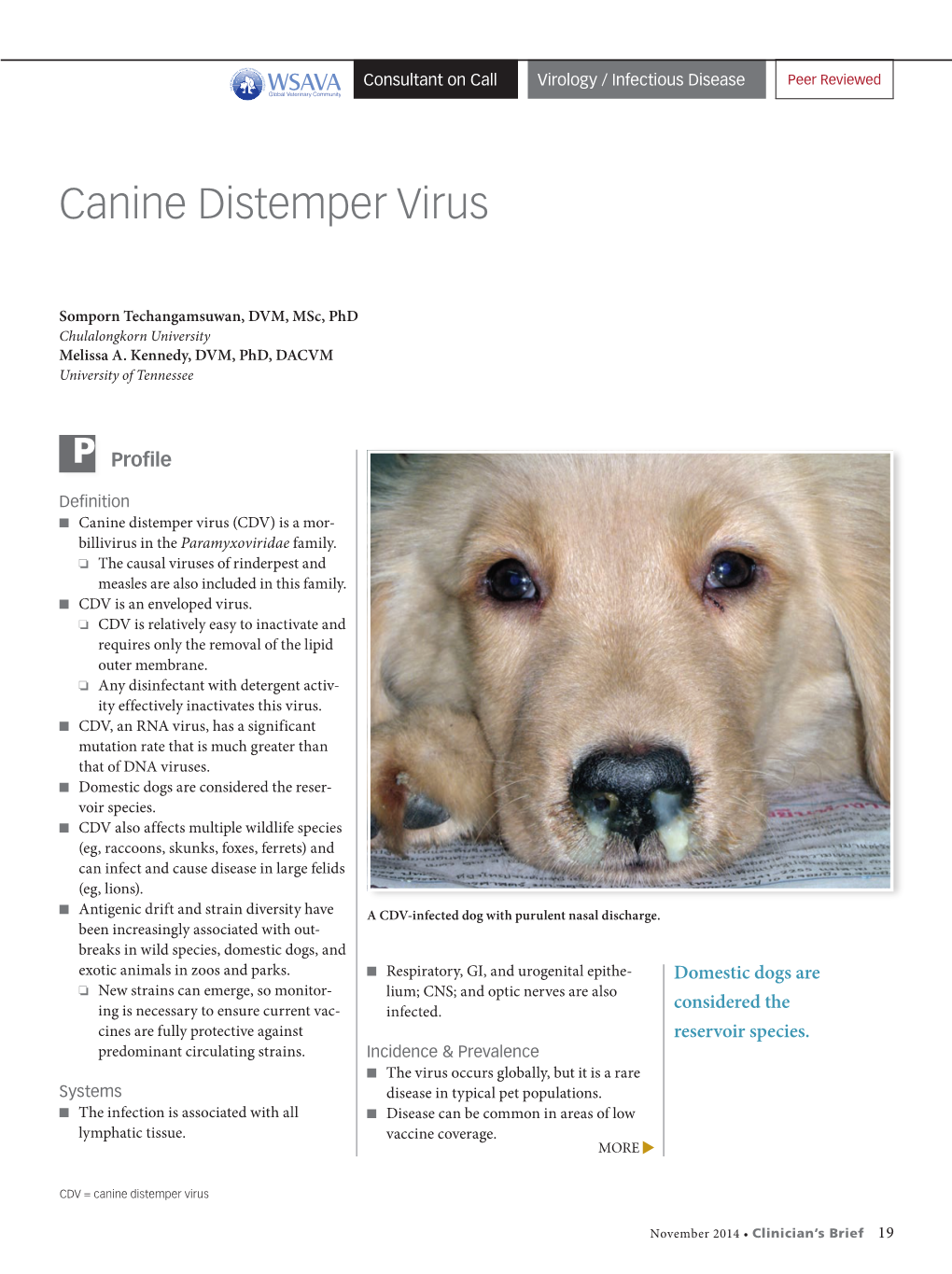 Canine Distemper Virus